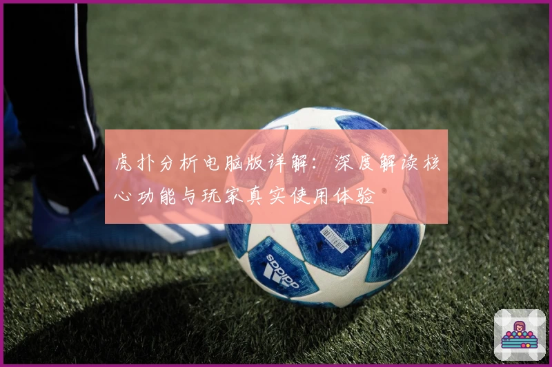 虎扑分析电脑版详解：深度解读核心功能与玩家真实使用体验
