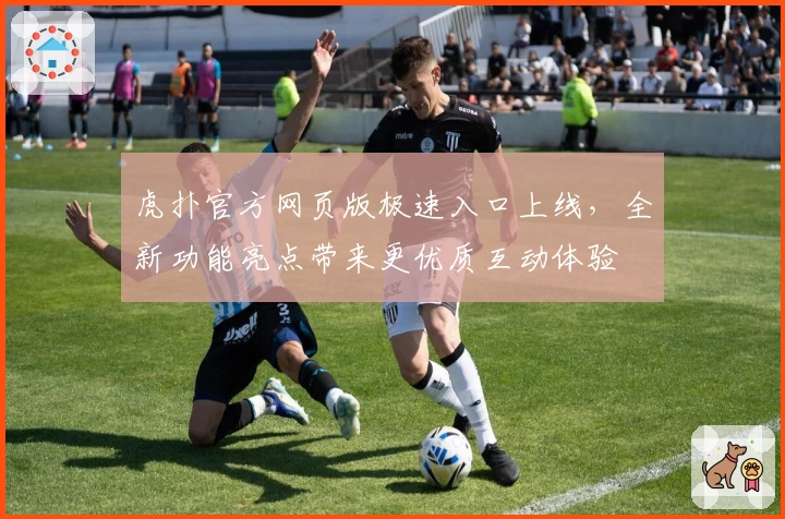 虎扑官方网页版极速入口上线，全新功能亮点带来更优质互动体验