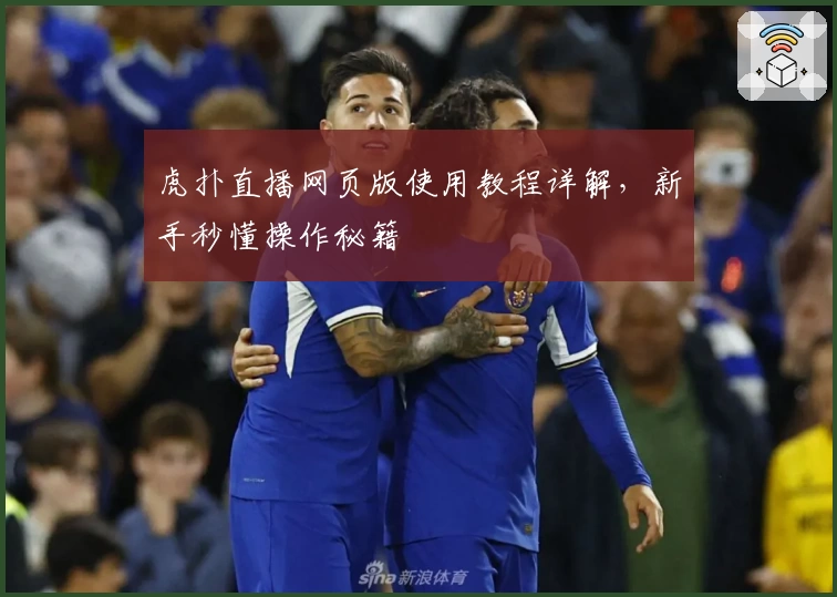 虎扑直播网页版使用教程详解，新手秒懂操作秘籍
