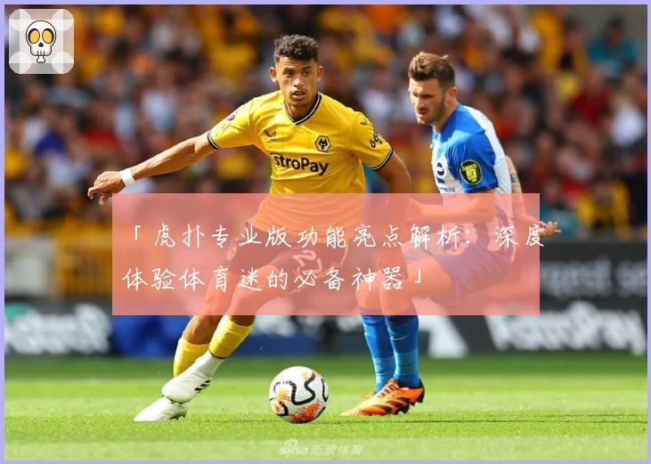 「虎扑专业版功能亮点解析：深度体验体育迷的必备神器」