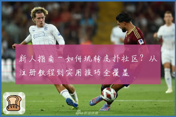 新人指南 - 如何玩转虎扑社区？从注册教程到实用技巧全覆盖