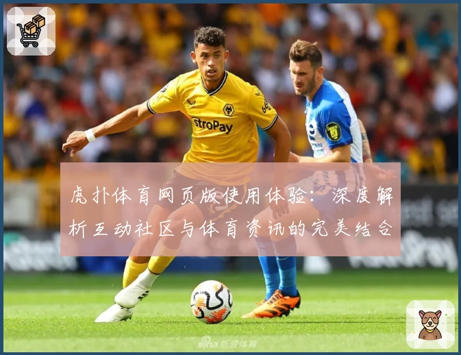 虎扑体育网页版使用体验：深度解析互动社区与体育资讯的完美结合