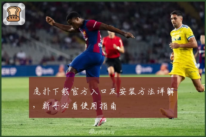 虎扑下载官方入口及安装方法详解，新手必看使用指南